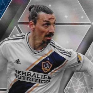 Meet your Posher, Jasper